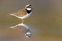 BUITEN BEELD Foto: 380747