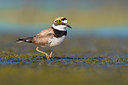 BUITEN BEELD Foto: 380749