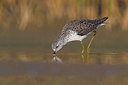 BUITEN BEELD Foto: 380776