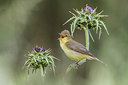 BUITEN BEELD Foto: 380777