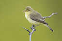 BUITEN BEELD Foto: 380779