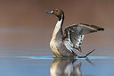 BUITEN BEELD Foto: 380789
