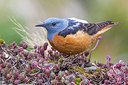 BUITEN BEELD Foto: 380887