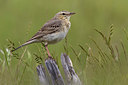 BUITEN BEELD Foto: 380950