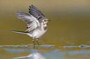 BUITEN BEELD Foto: 380989