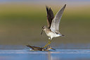 BUITEN BEELD Foto: 380995