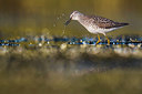 BUITEN BEELD Foto: 380999