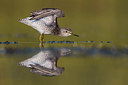 BUITEN BEELD Foto: 381004