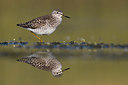 BUITEN BEELD Foto: 381007
