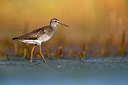 BUITEN BEELD Foto: 381024