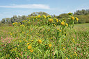 BUITEN BEELD Foto: 381206