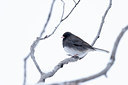 BUITEN BEELD Foto: 381315