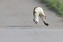 BUITEN BEELD Foto: 381708