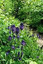 BUITEN BEELD Foto: 381906