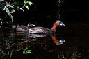 BUITEN BEELD Foto: 381912