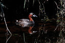 BUITEN BEELD Foto: 381913