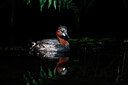 BUITEN BEELD Foto: 381914