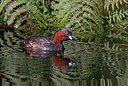 BUITEN BEELD Foto: 381916
