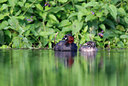 BUITEN BEELD Foto: 381931