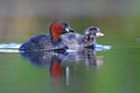 BUITEN BEELD Foto: 381938