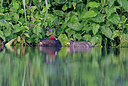 BUITEN BEELD Foto: 381943
