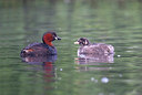 BUITEN BEELD Foto: 381945