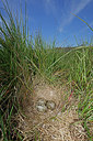 BUITEN BEELD Foto: 382025