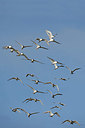 BUITEN BEELD Foto: 382049