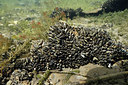 BUITEN BEELD Foto: 382118
