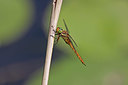 BUITEN BEELD Foto: 382154