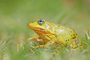 BUITEN BEELD Foto: 382236