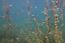 BUITEN BEELD Foto: 382243