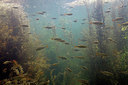 BUITEN BEELD Foto: 382247