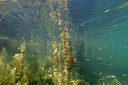 BUITEN BEELD Foto: 382252