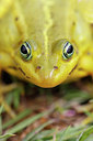 BUITEN BEELD Foto: 382260