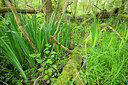 BUITEN BEELD Foto: 382417
