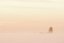 BUITEN BEELD Foto: 382722