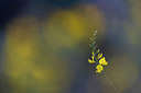BUITEN BEELD Foto: 382923