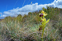 BUITEN BEELD Foto: 383061
