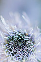BUITEN BEELD Foto: 383067