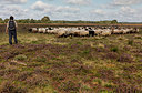 BUITEN BEELD Foto: 383186