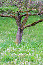 BUITEN BEELD Foto: 383250