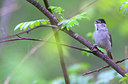 BUITEN BEELD Foto: 383462