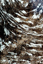 BUITEN BEELD Foto: 383469