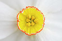 BUITEN BEELD Foto: 383496
