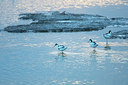 BUITEN BEELD Foto: 383504