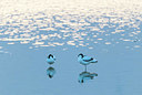 BUITEN BEELD Foto: 383507
