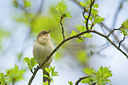 BUITEN BEELD Foto: 383537
