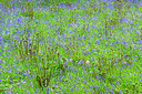 BUITEN BEELD Foto: 383957