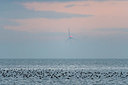 BUITEN BEELD Foto: 384044